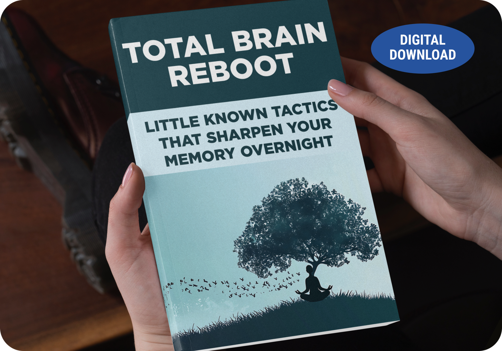 Total Brain Reboot bonus guide